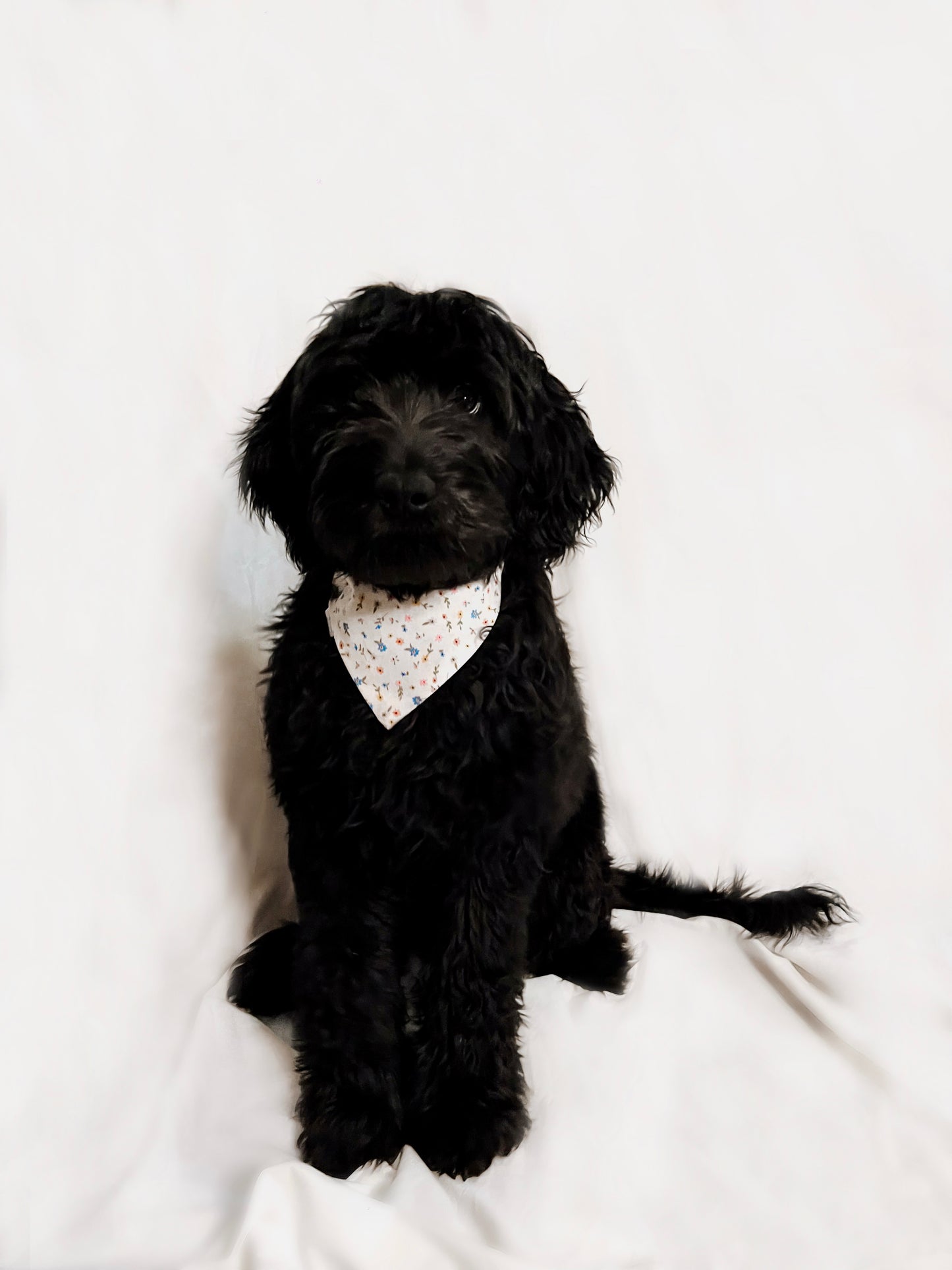 White Floral Bandana
