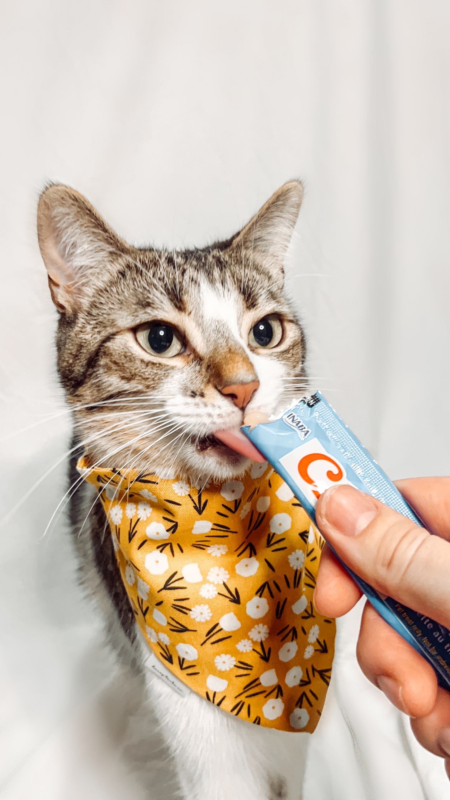 Yellow Floral Bandana