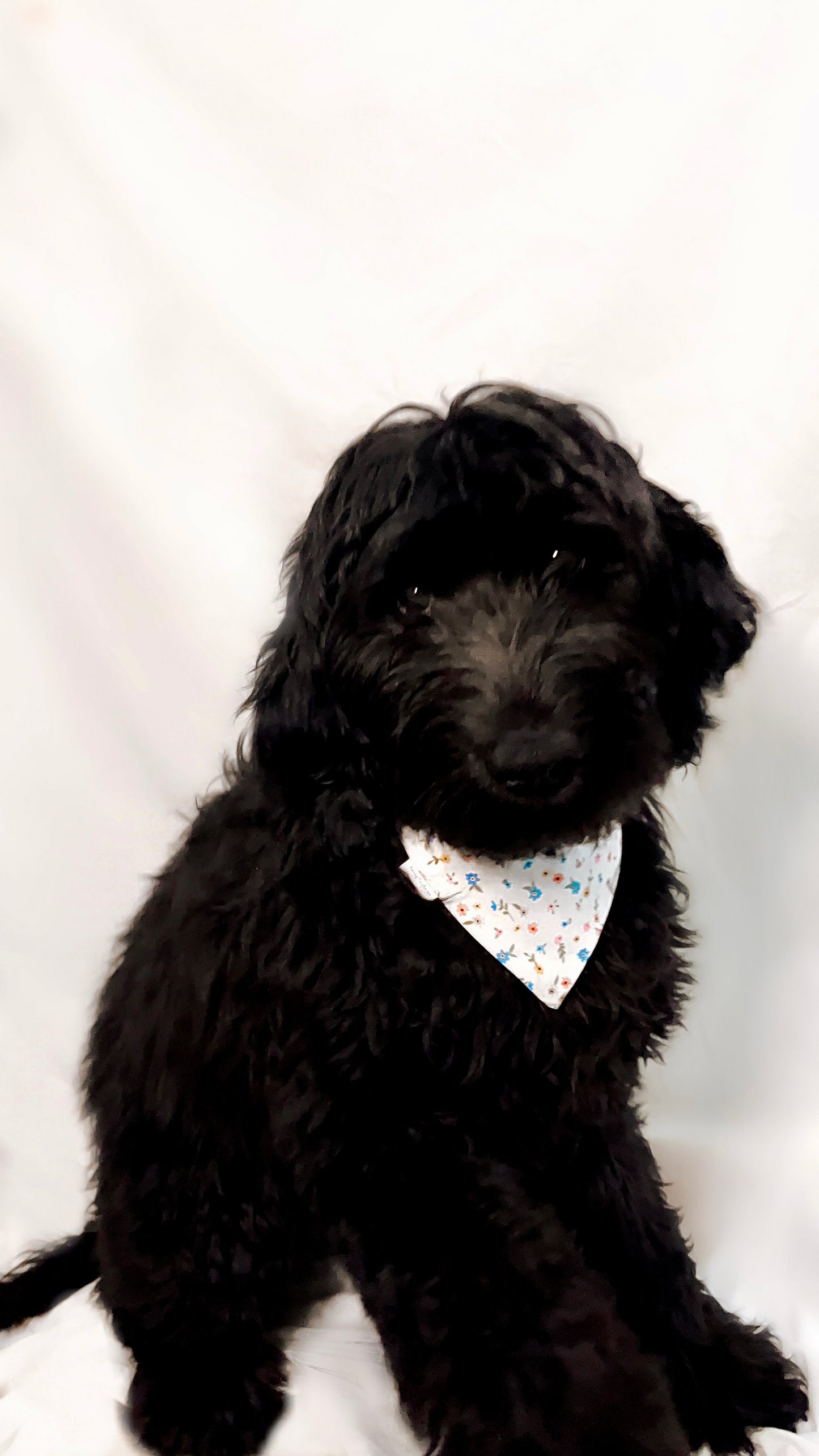 White Floral Bandana