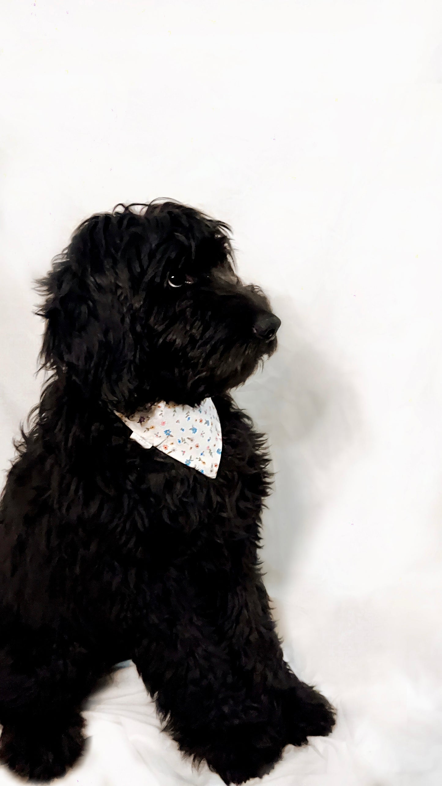 White Floral Bandana