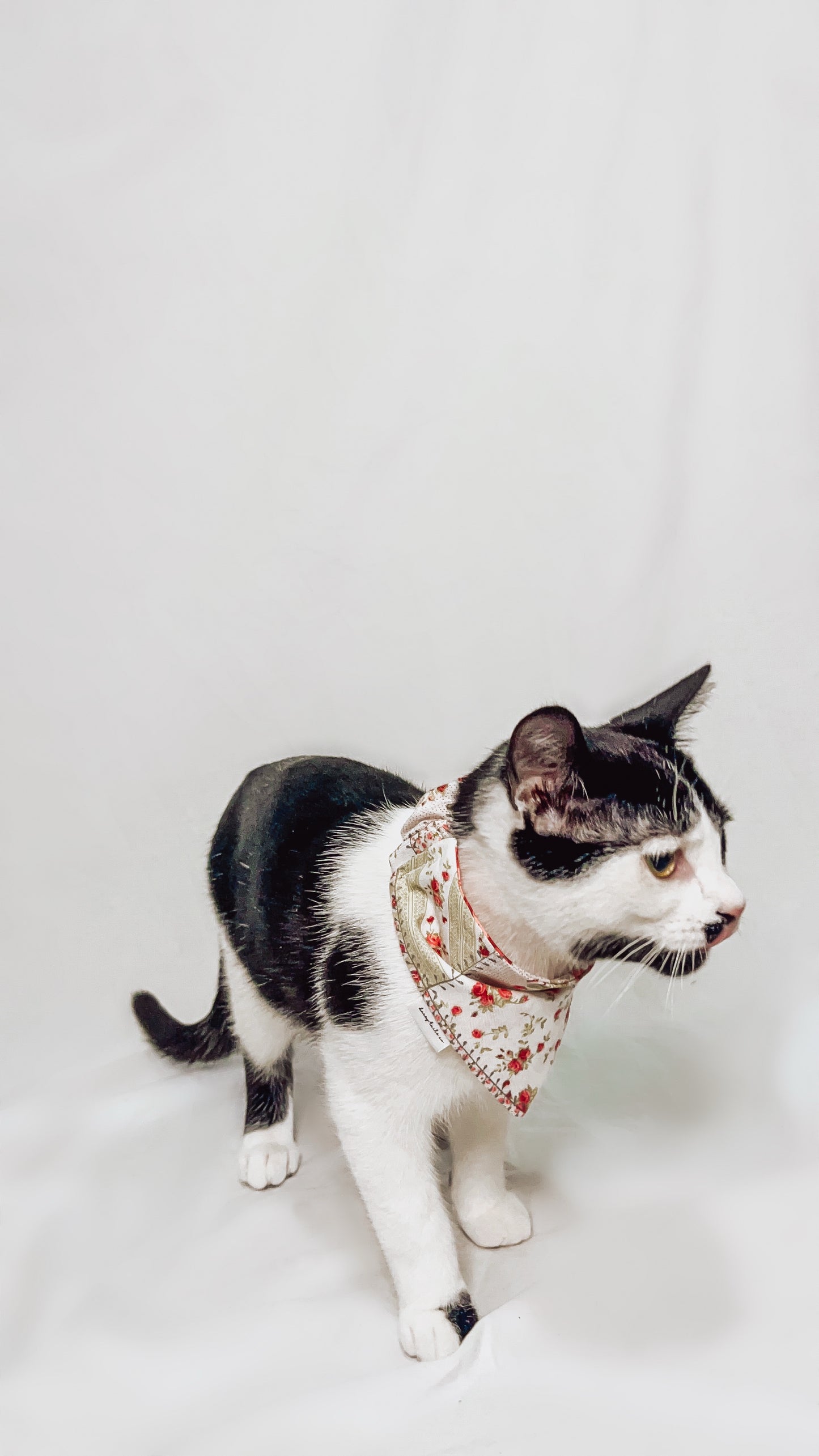 Vintage Rose Floral Bandana