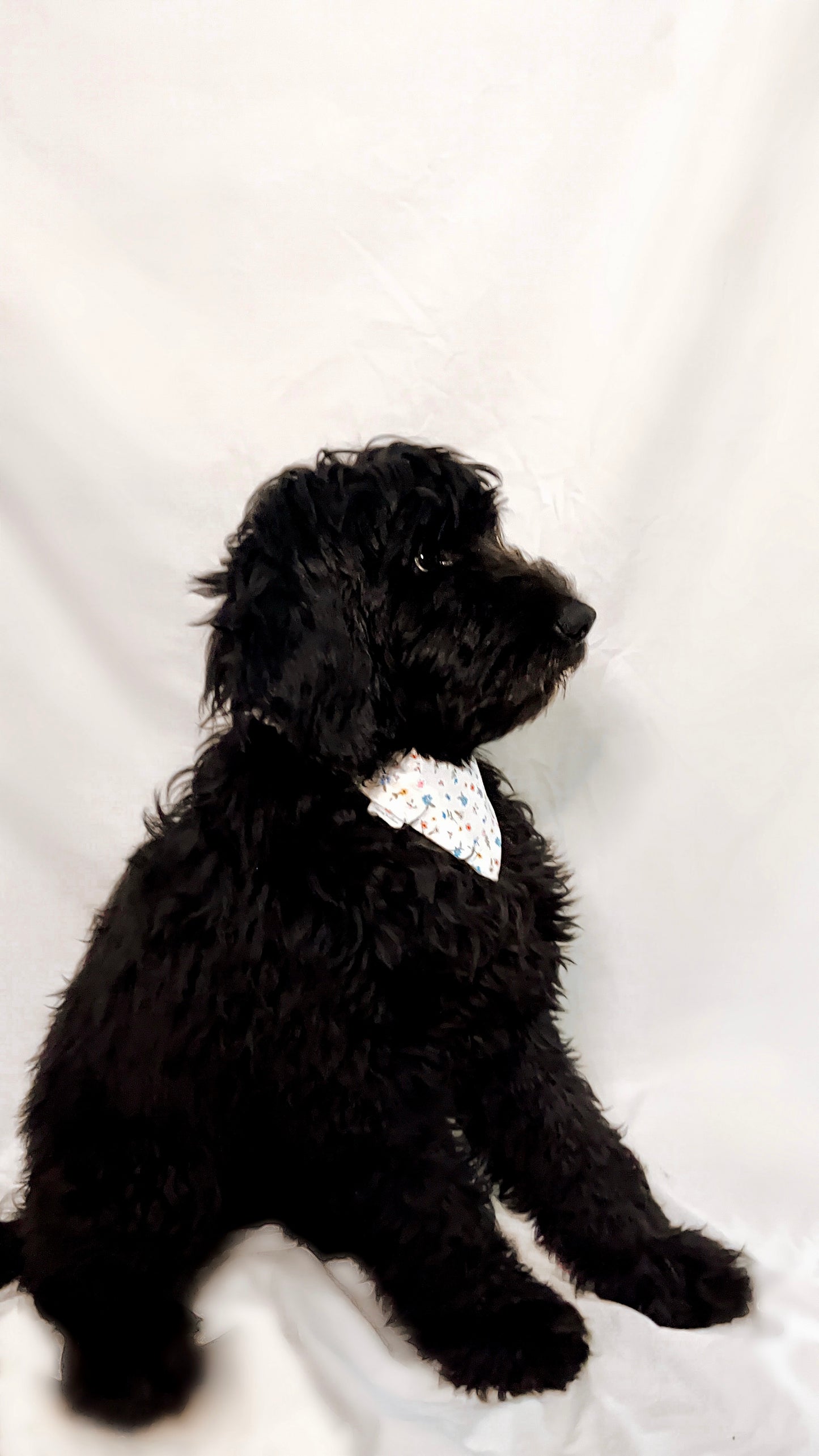 White Floral Bandana